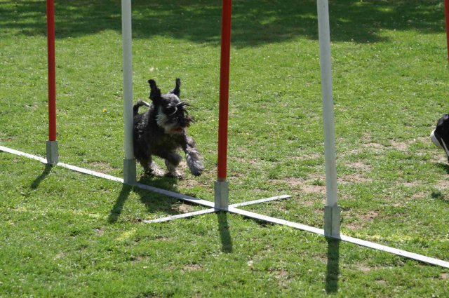 agility 2011-07-24